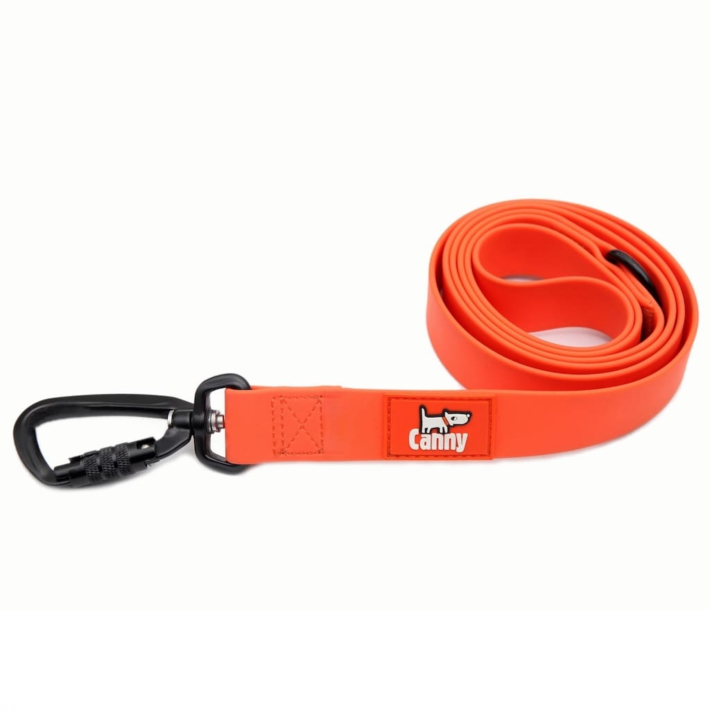 Canny Waterproof Leash