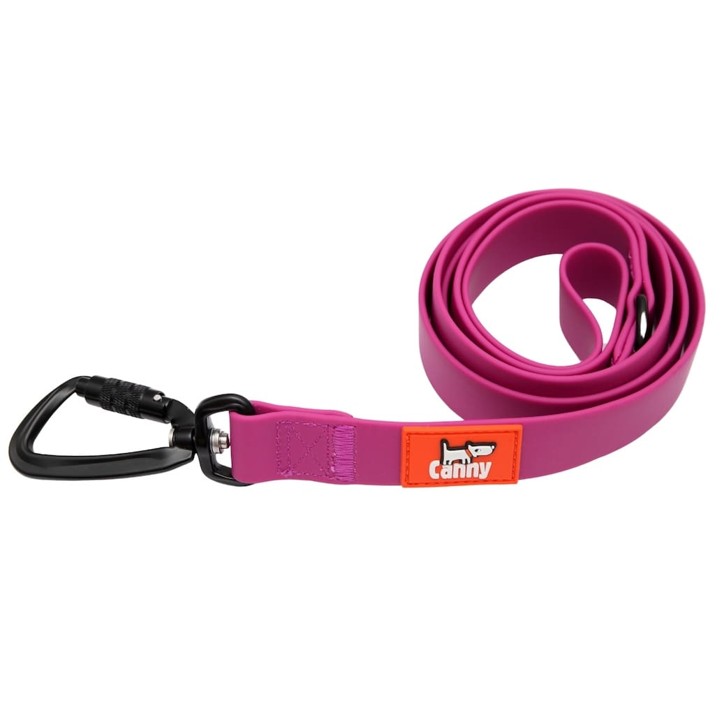Canny Waterproof Leash
