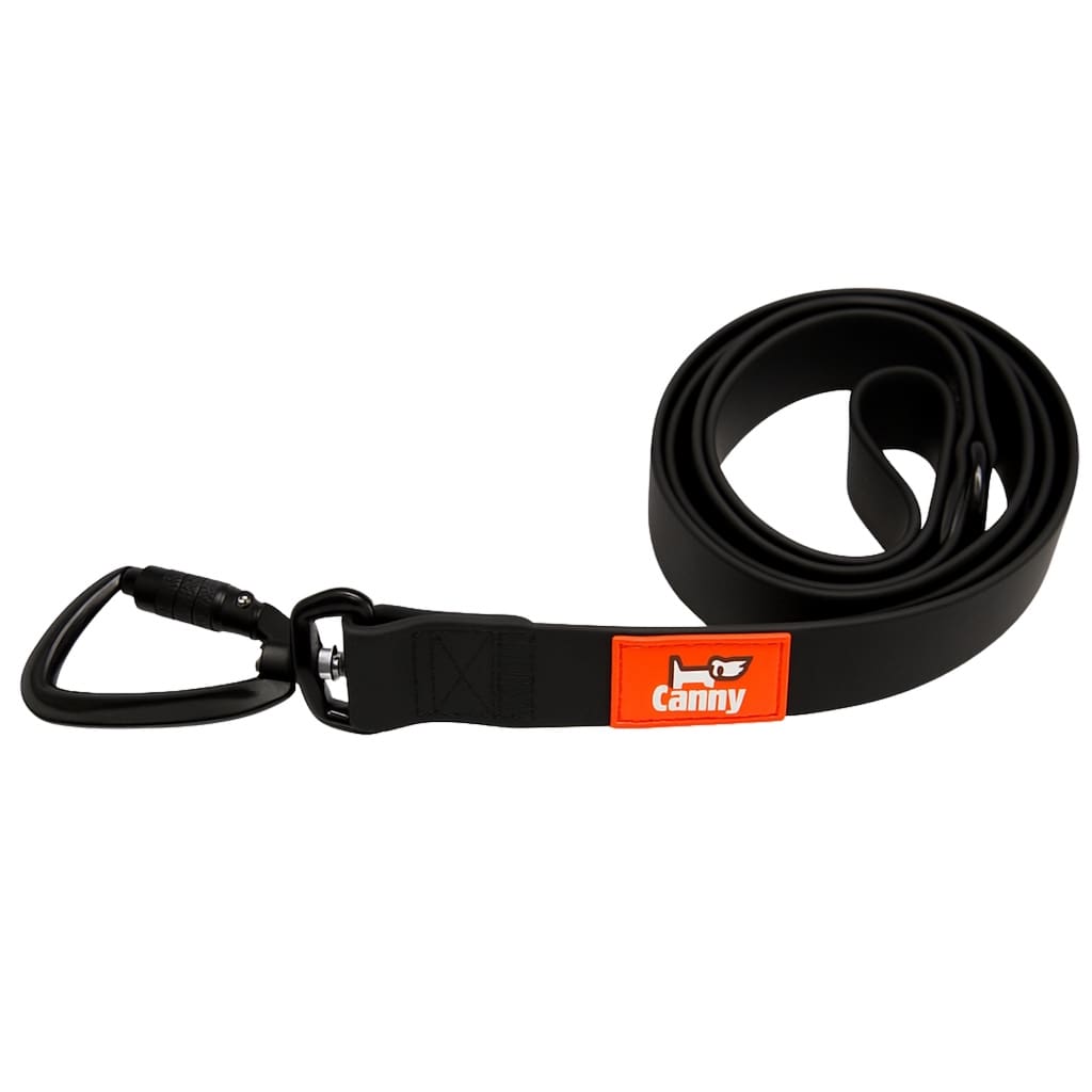 Canny Waterproof Leash